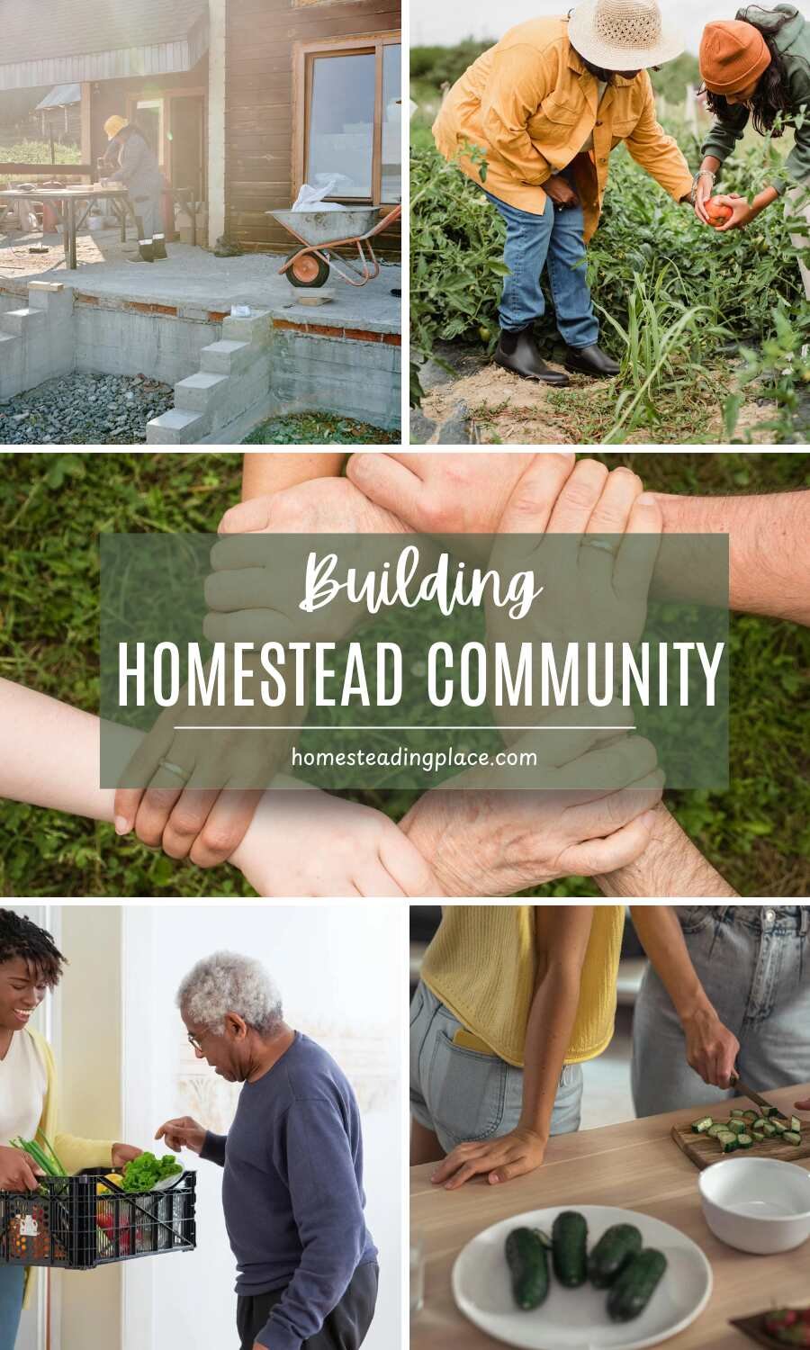 building homestead community tasks