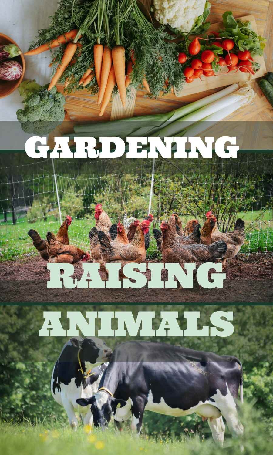 garden produce and farm animals