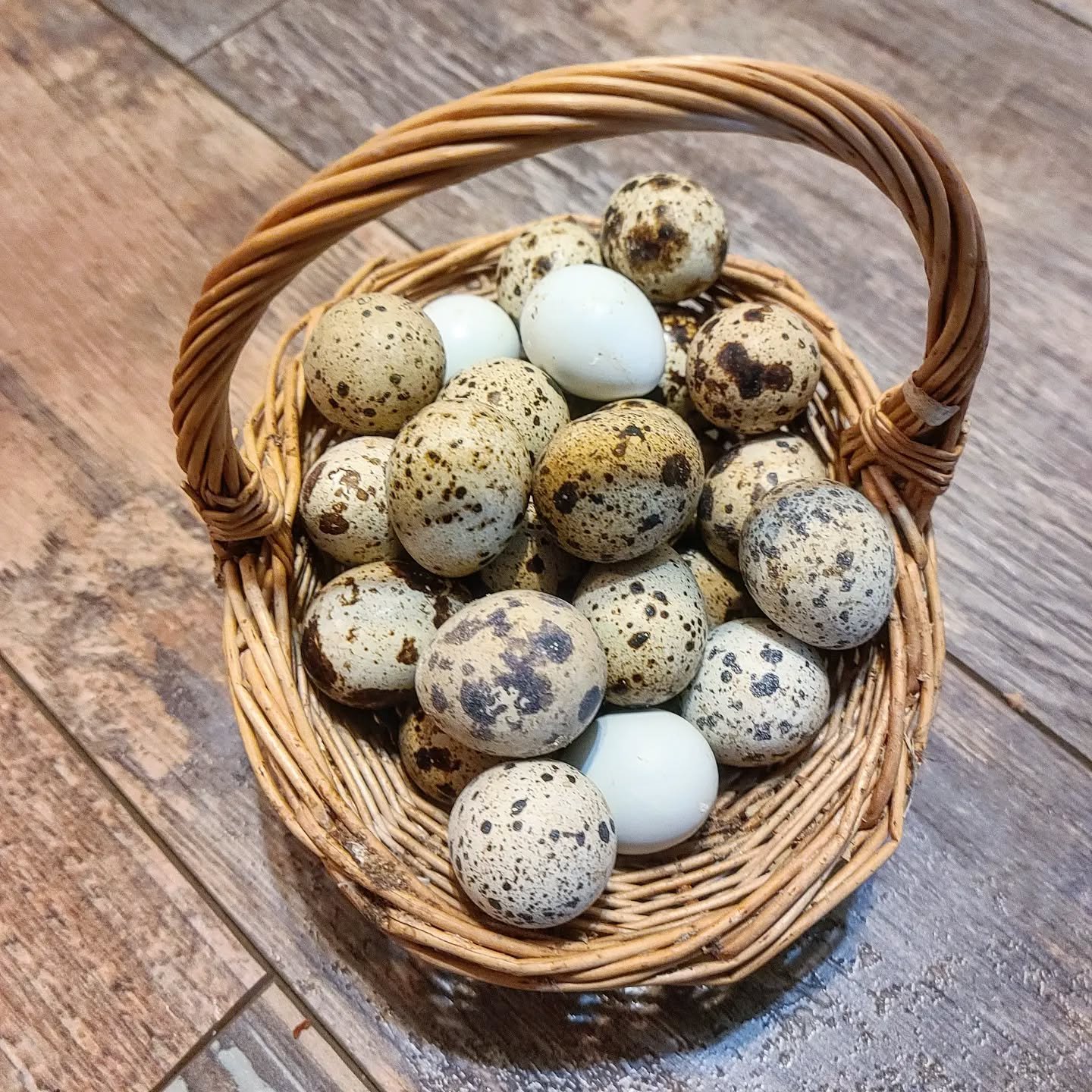 quail eggs in eco friendly basket