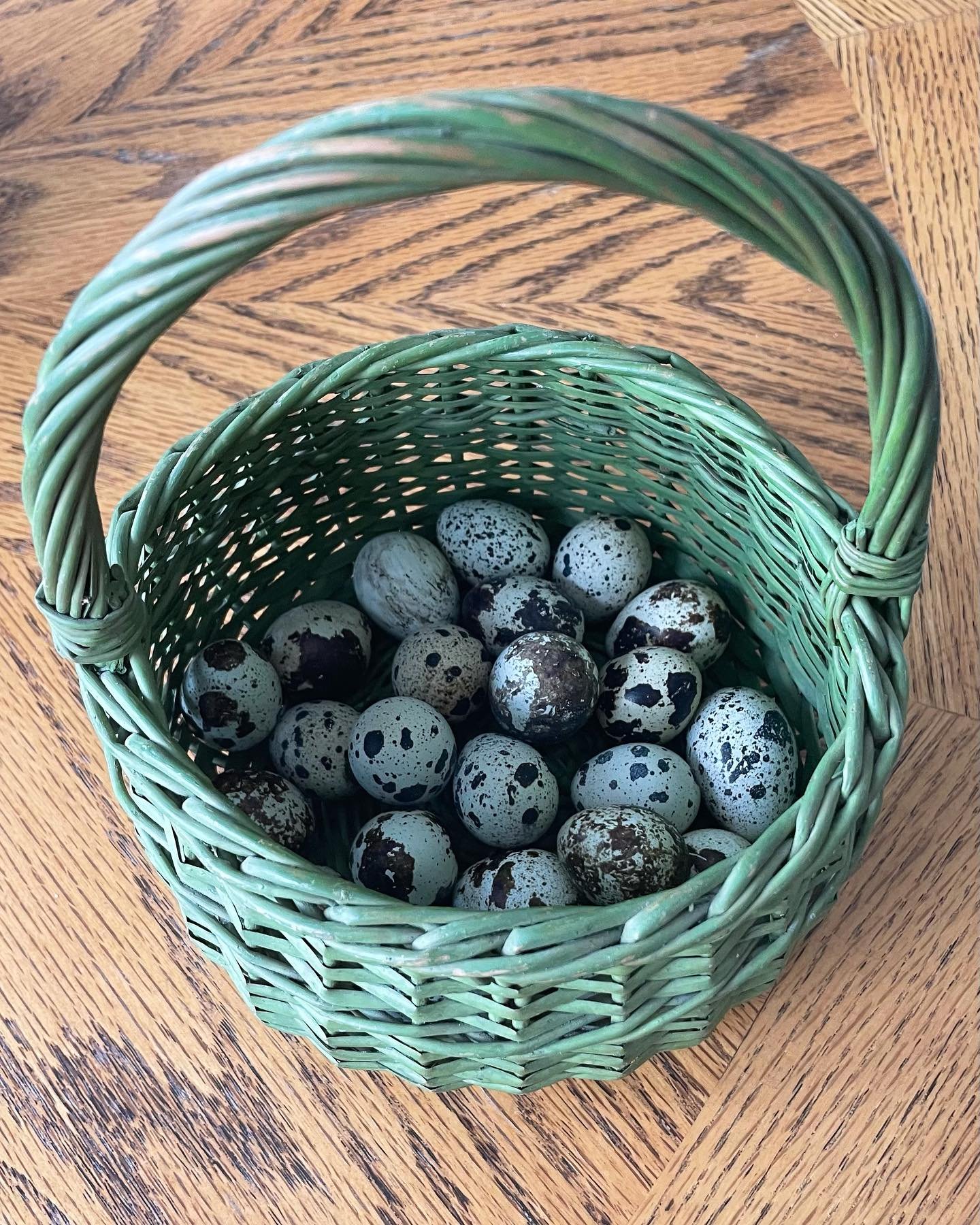 quail eggs in eco friendly basket