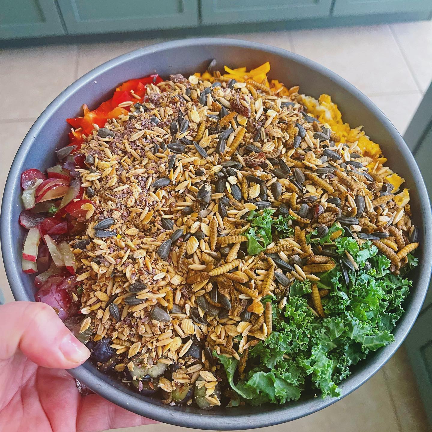 homemade chicken feed recipe