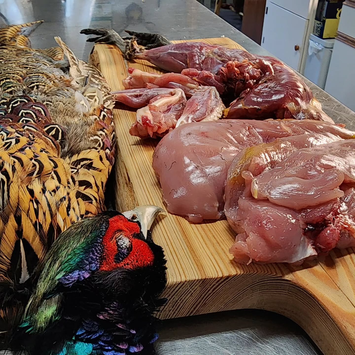 processed pheasant birds