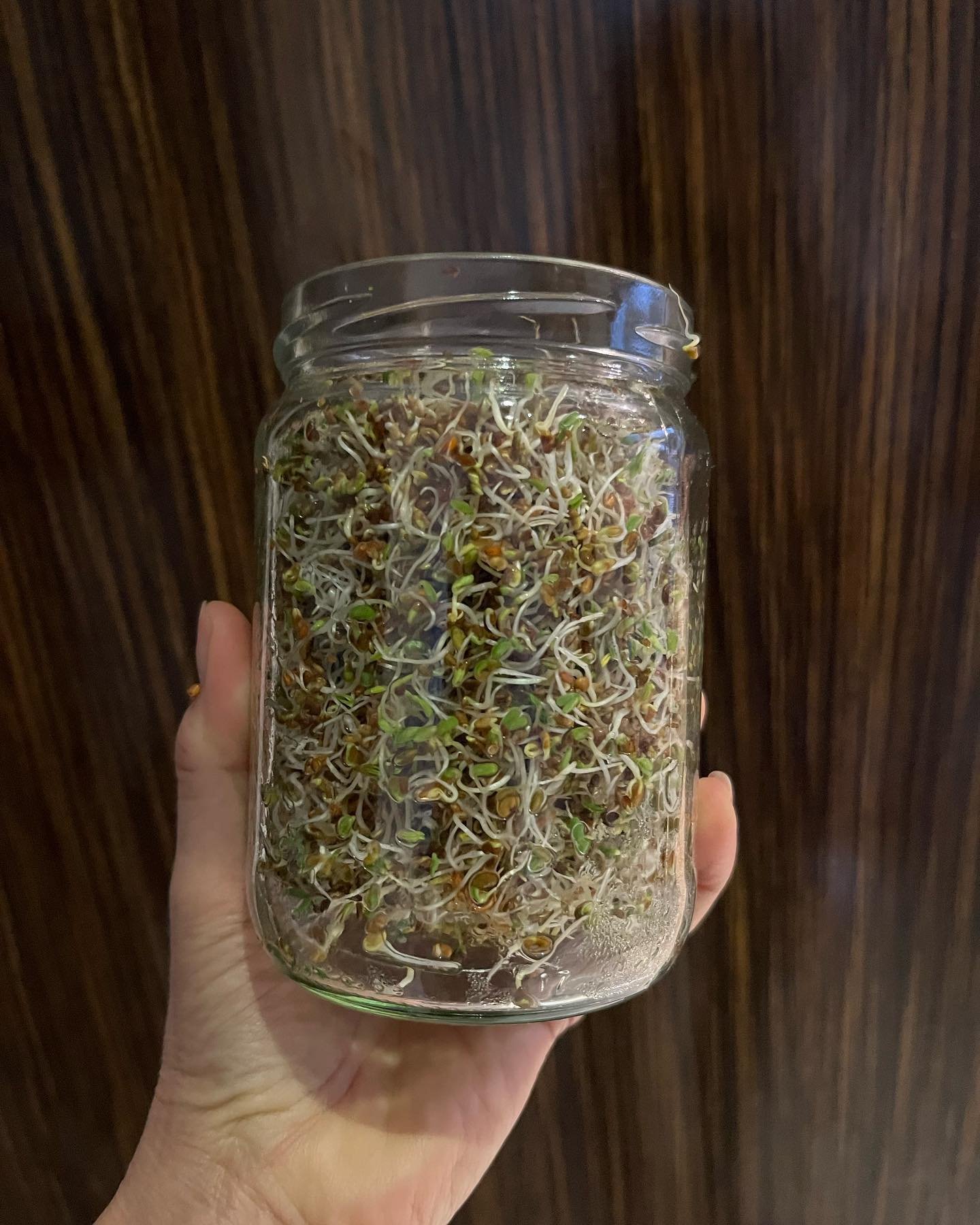 seeds germinating in jar