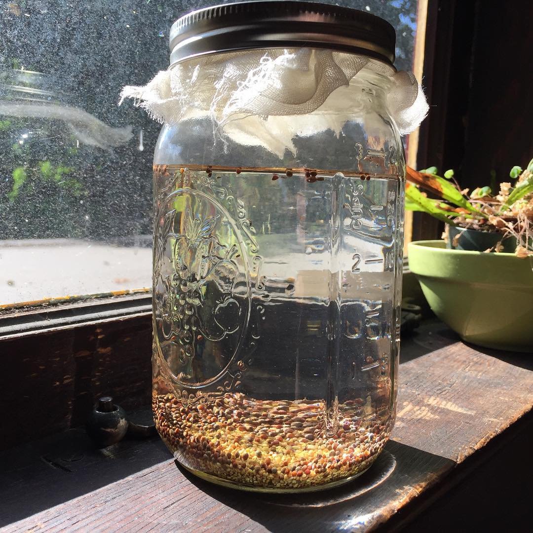 seeds in jar