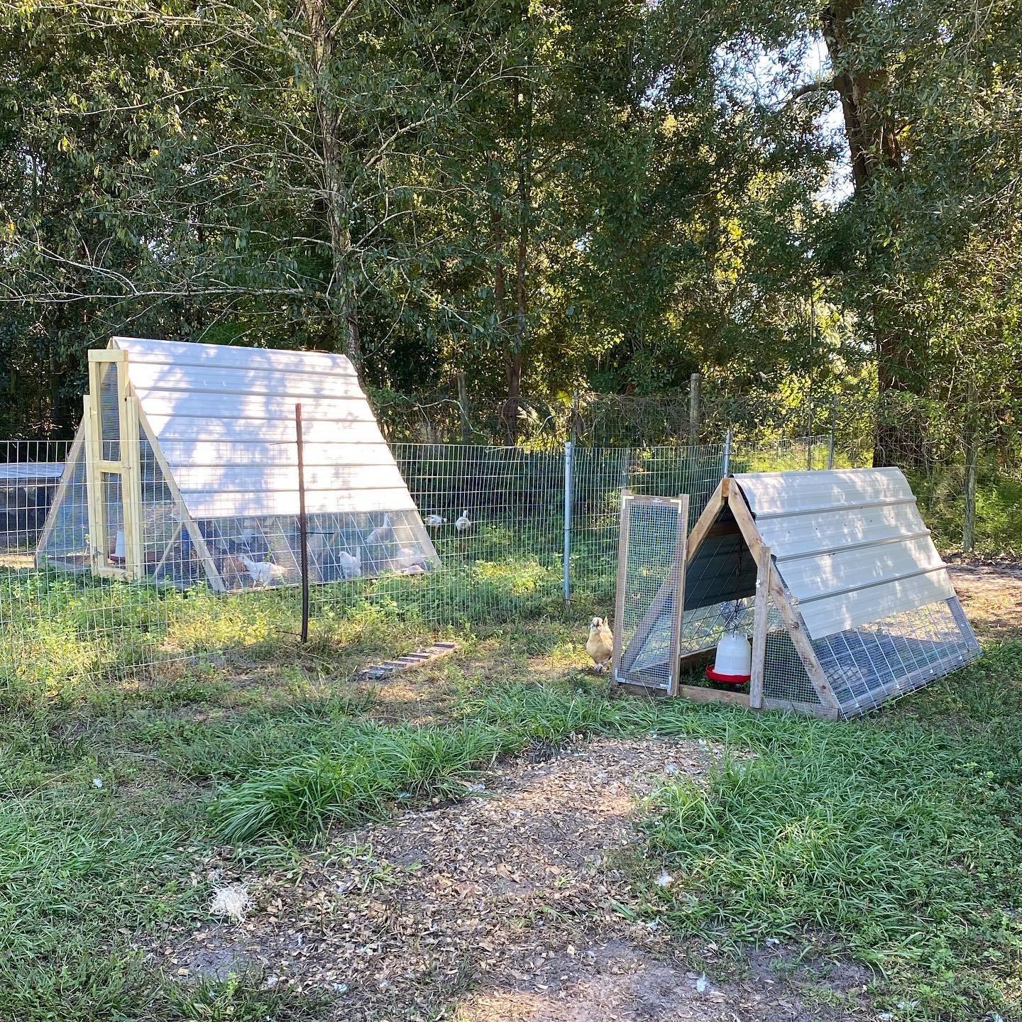 chicken and duck a frame coops