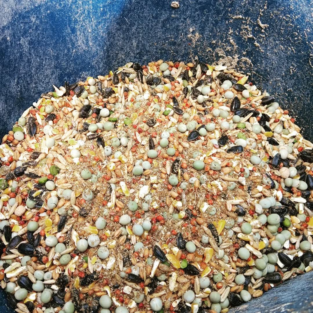 duck snacks