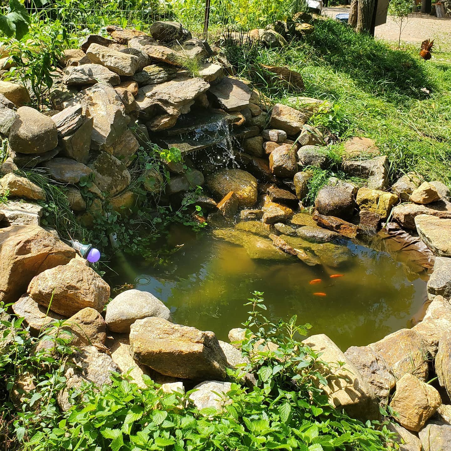 waterfall pond