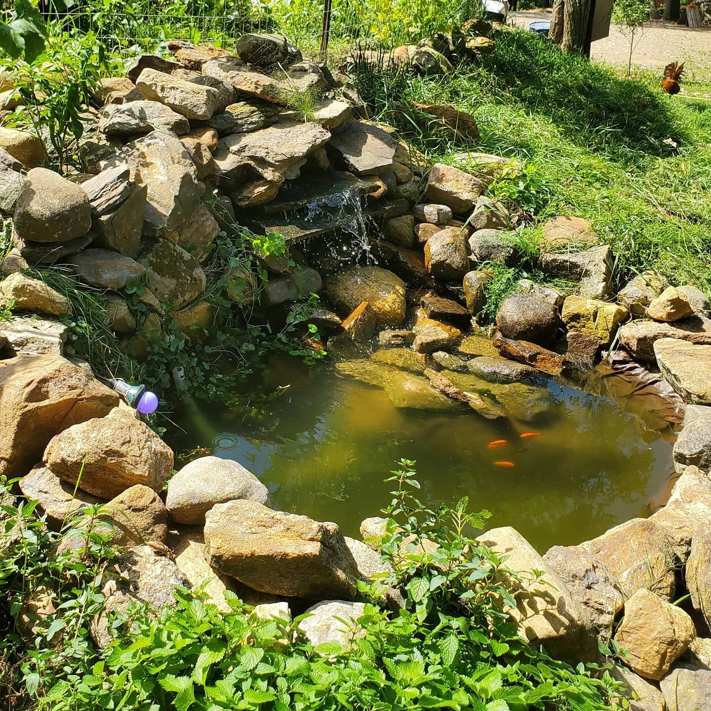 waterfall pond
