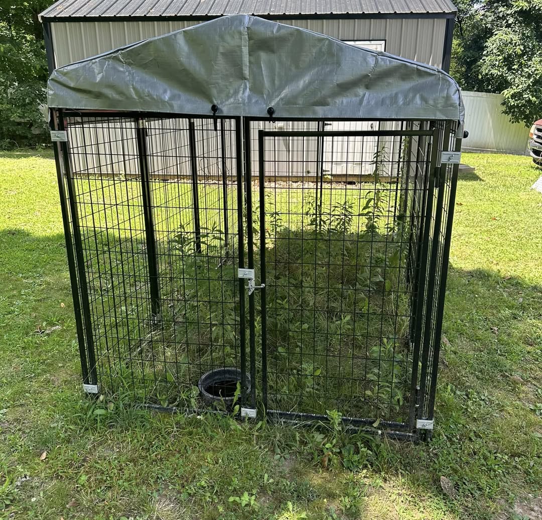 Chain-Link Dog Kennel