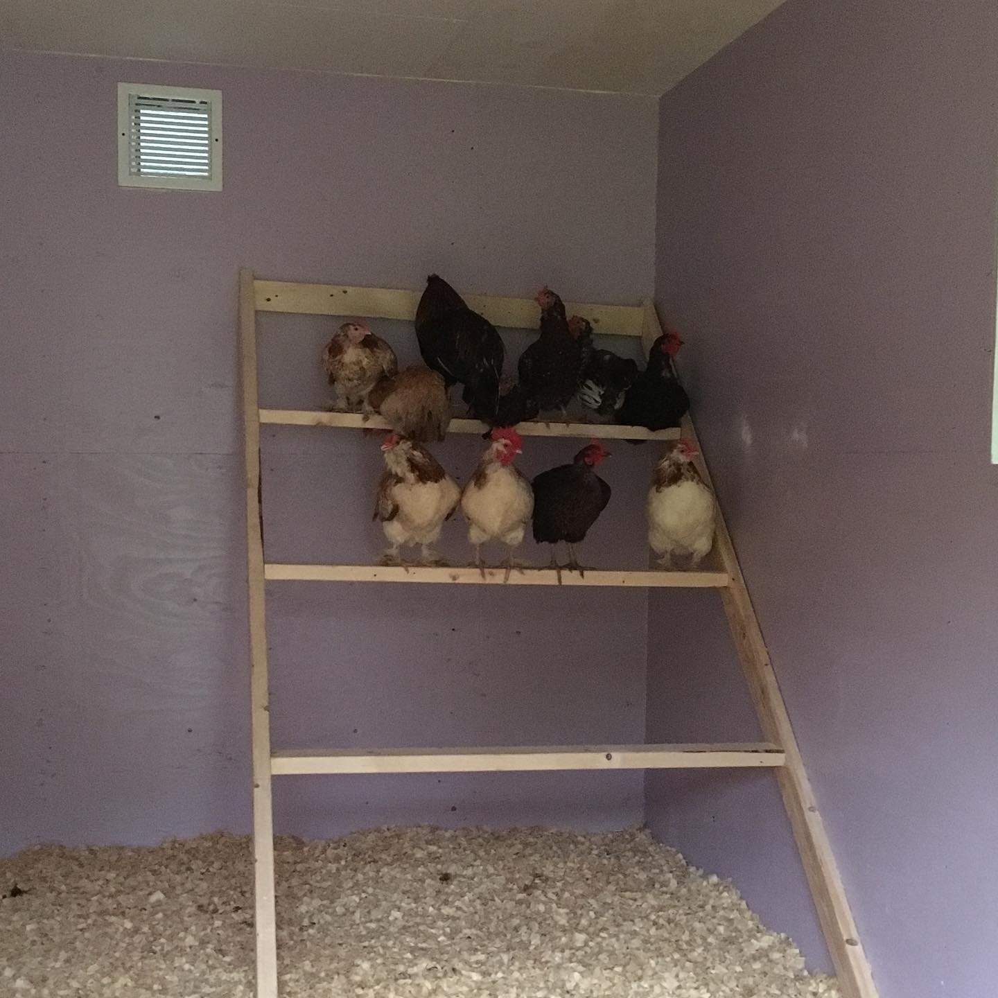 Corner-Mounted Roost