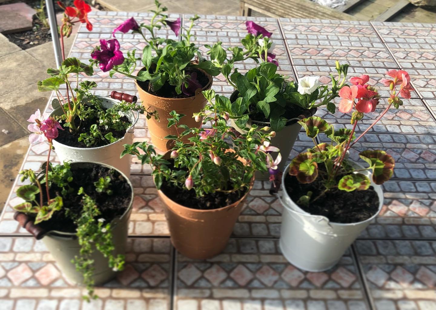 bucket planters