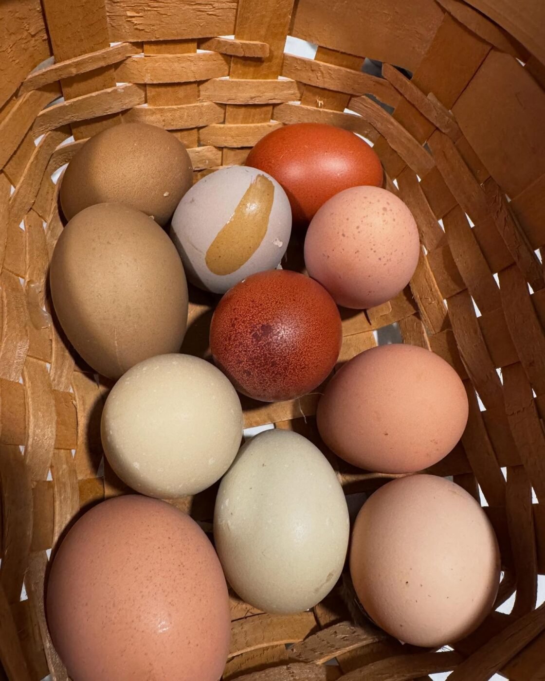 colorful chicken eggs in basket
