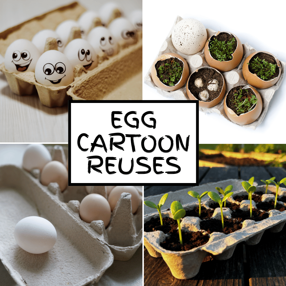egg cartoon ideas