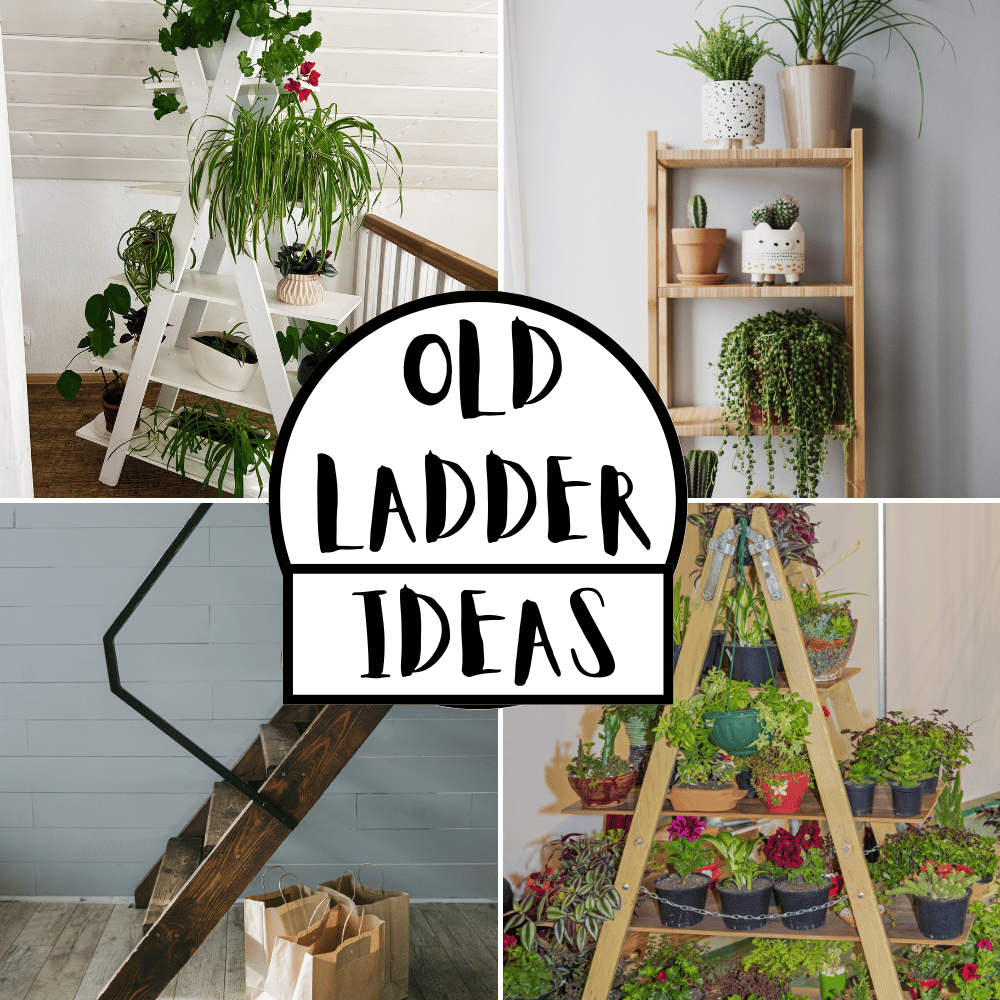 ladder ideas
