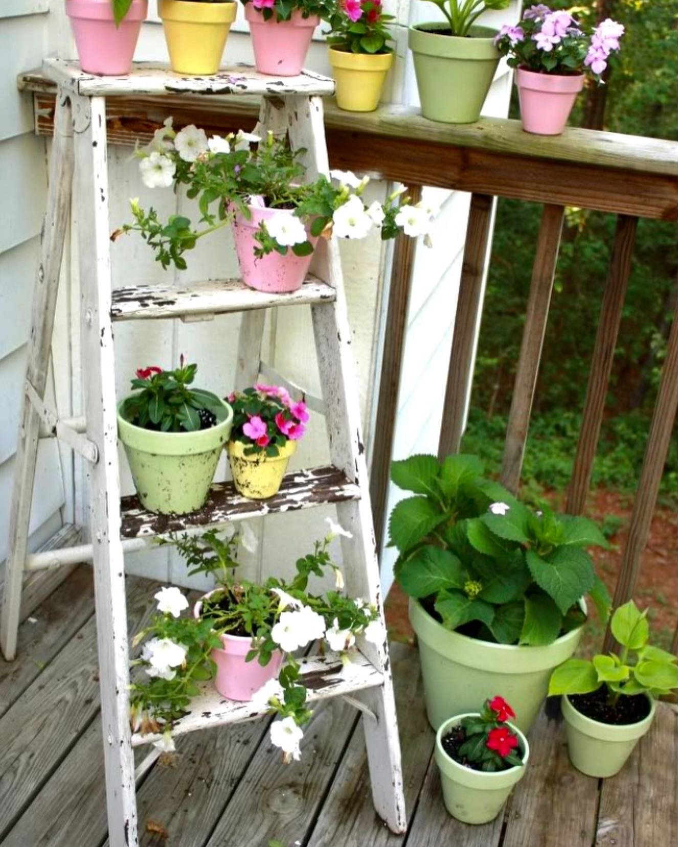 potted flowers on ladders