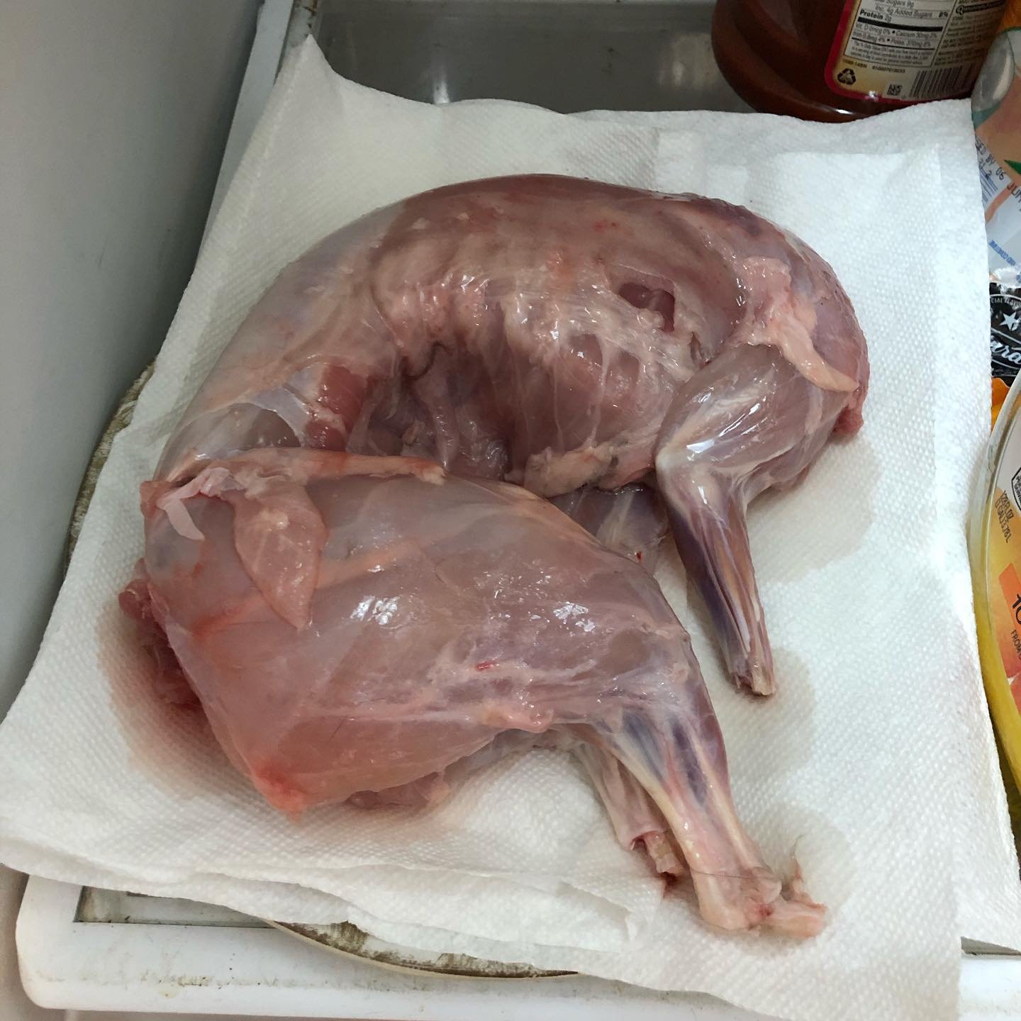 dressed out rabbit 