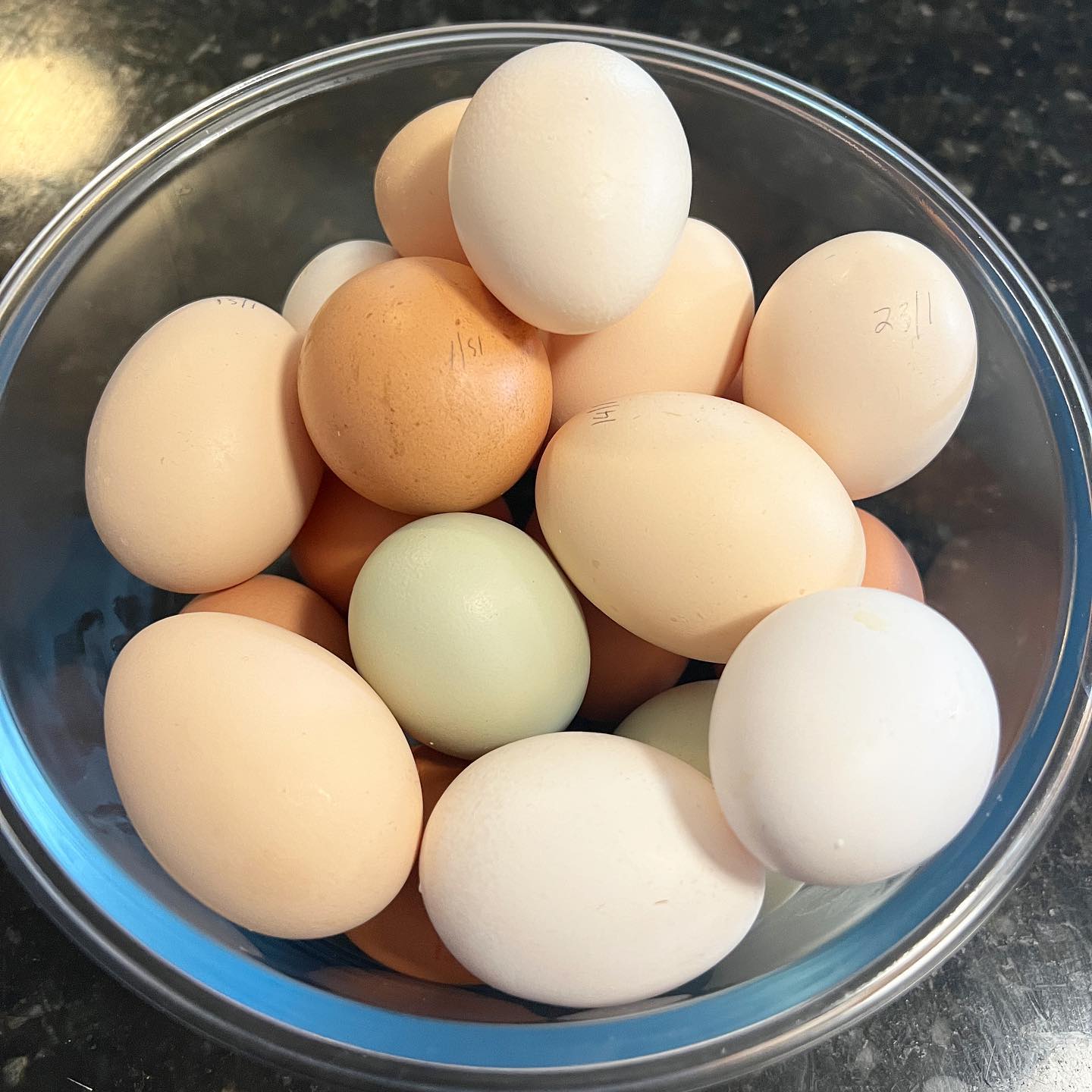 chicken eggs in bowl at home