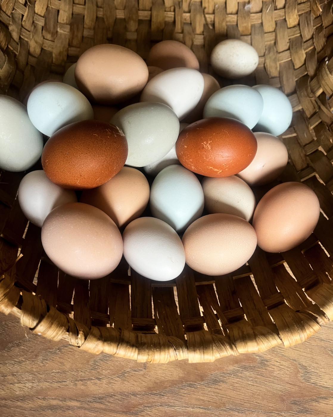 colored eggs in basket at home