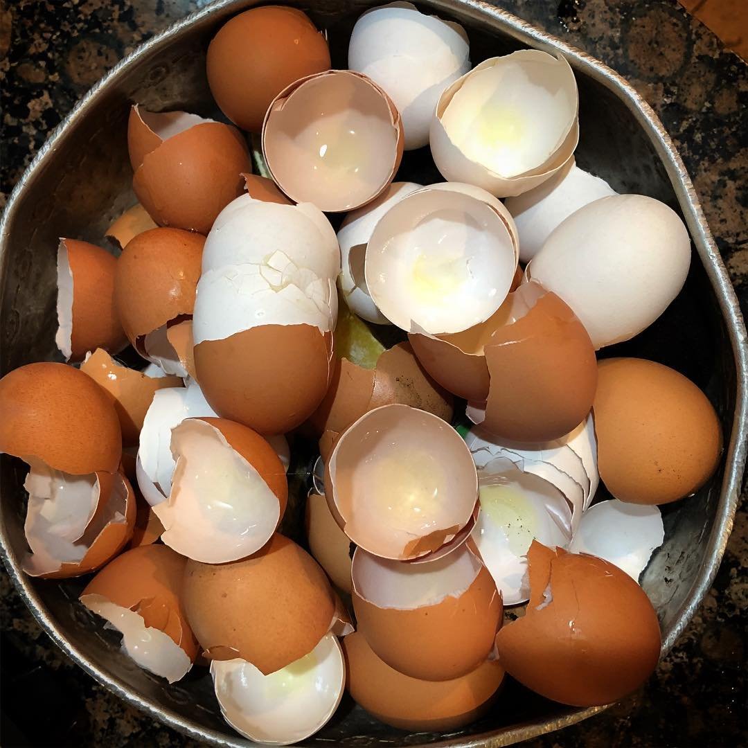 cracked eggshells in container
