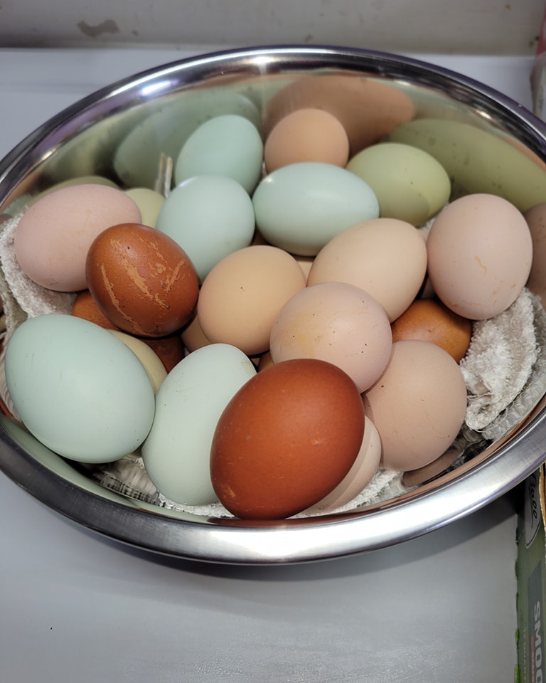 eggs on towel in bowl