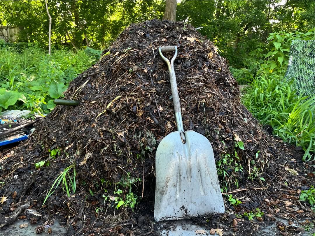 chicken coop compost