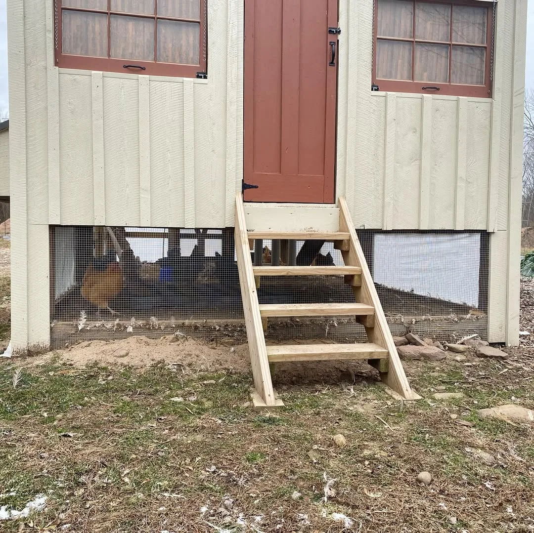 elevated chicken coop