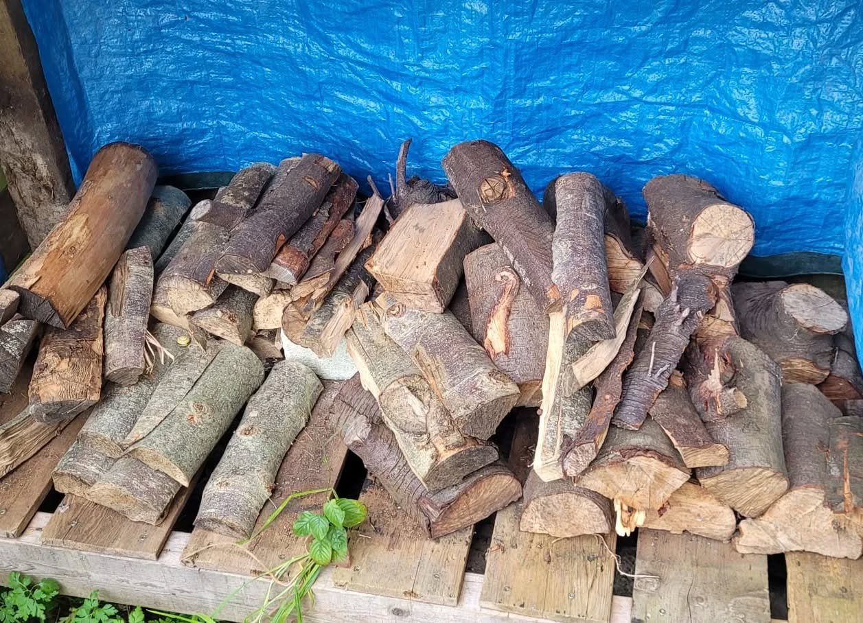 firewood on wooden pellets