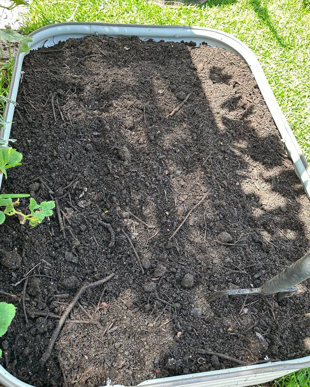 cold composting havest