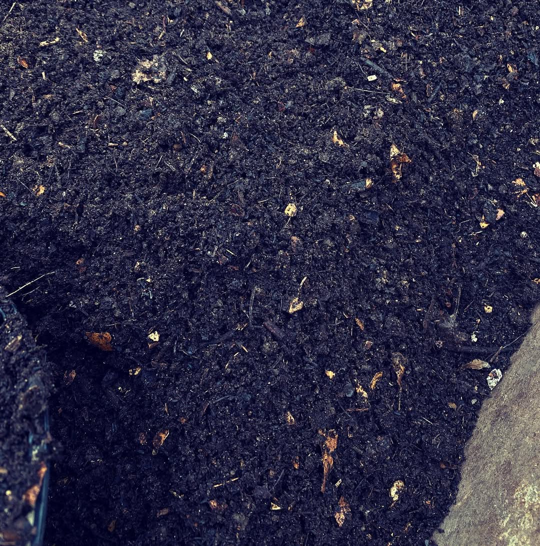 compost humus
