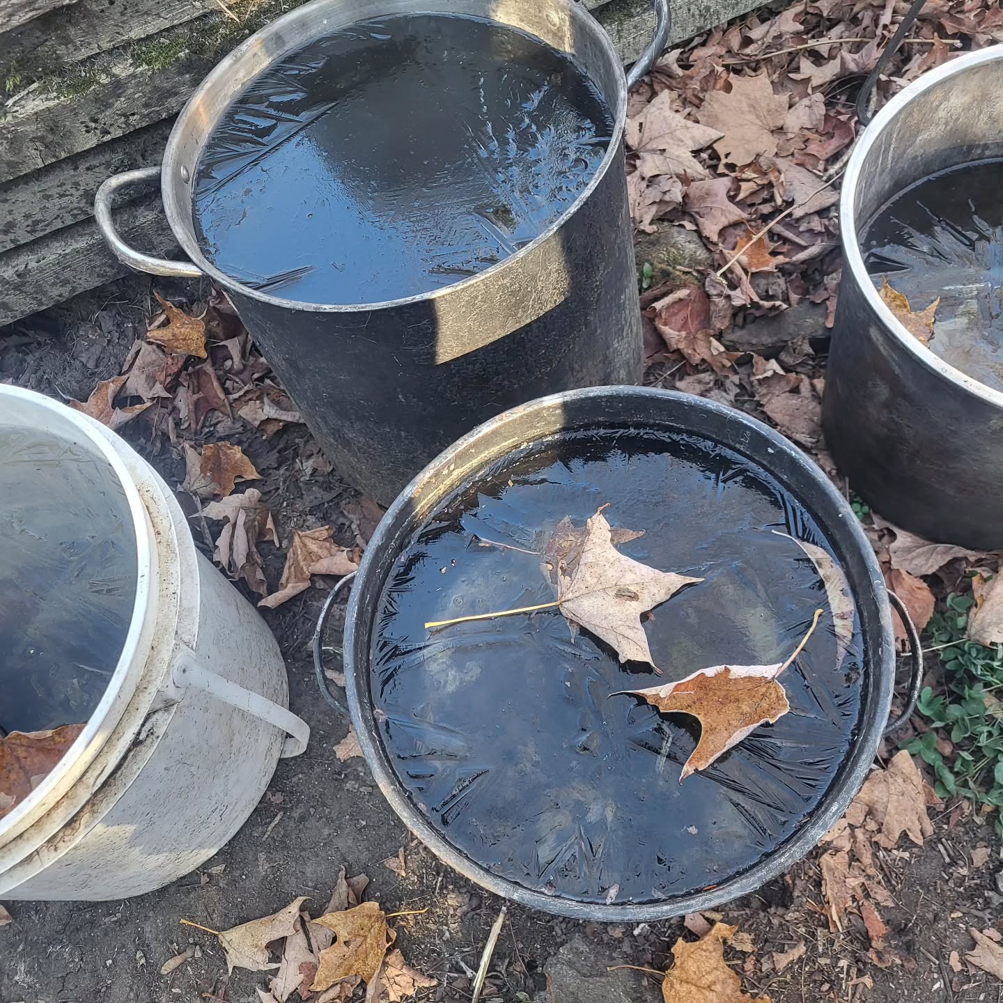 frozen water buckets and bowls