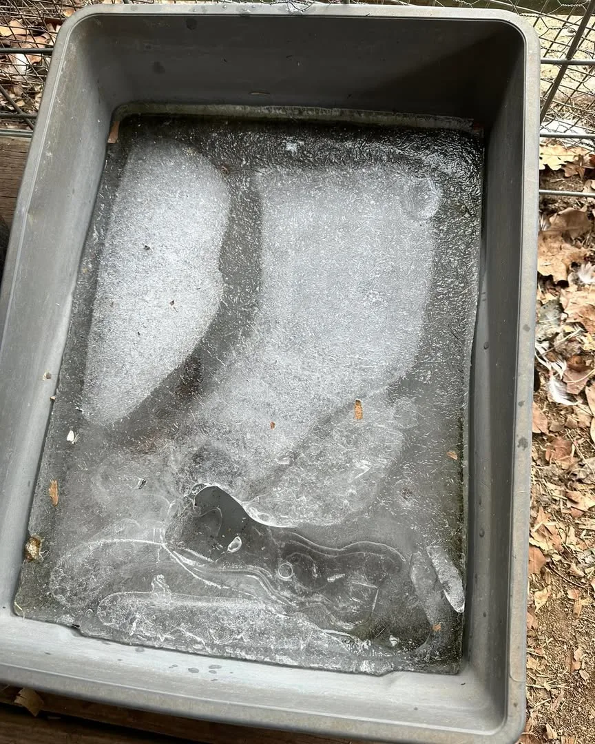 frozen water container for livestock