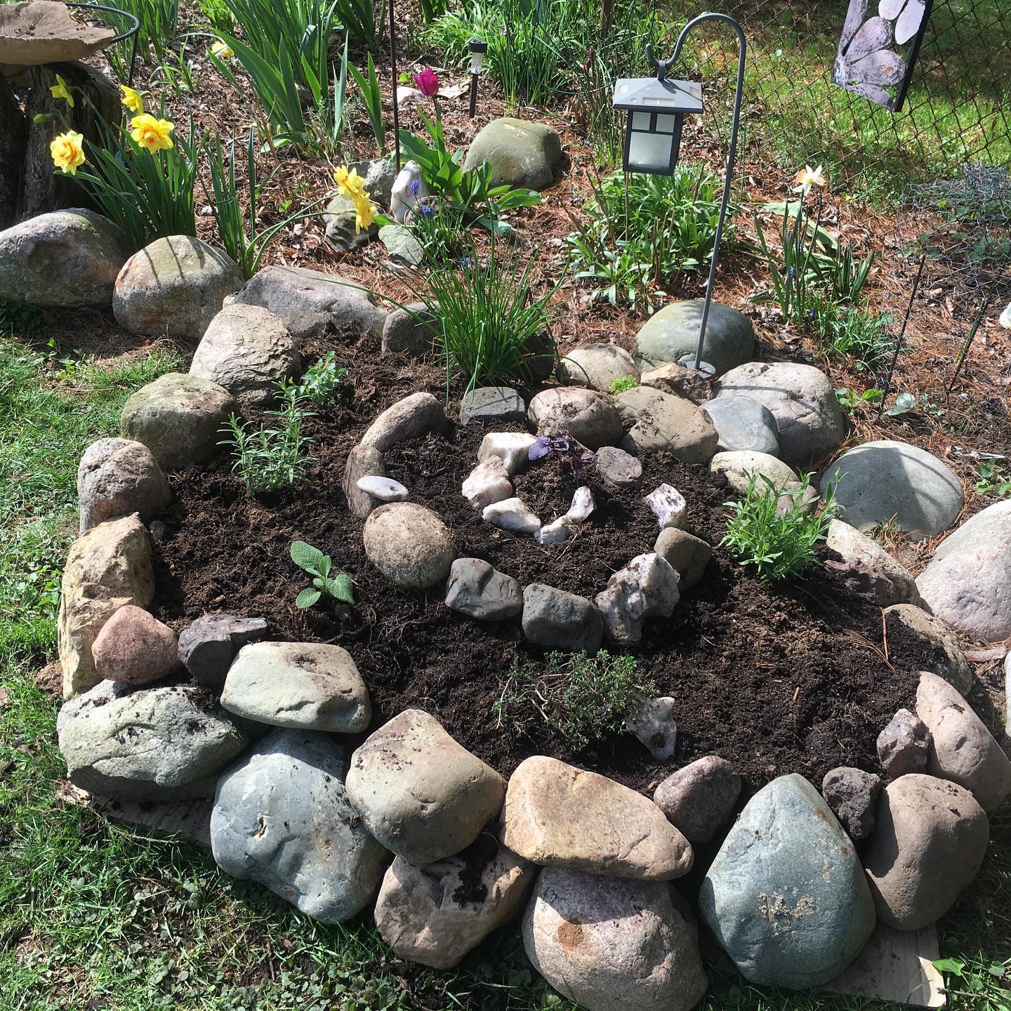 herb spiral in garden