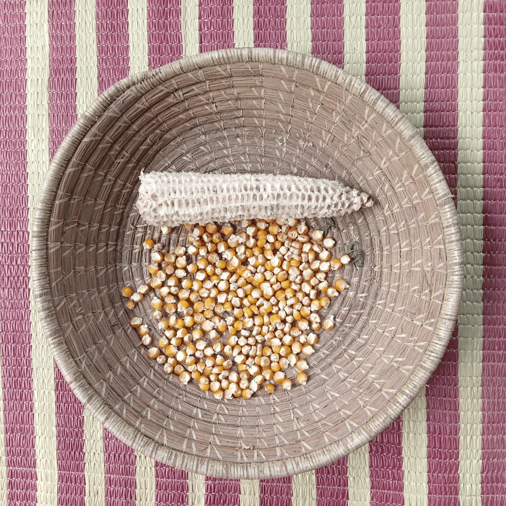 corn grains