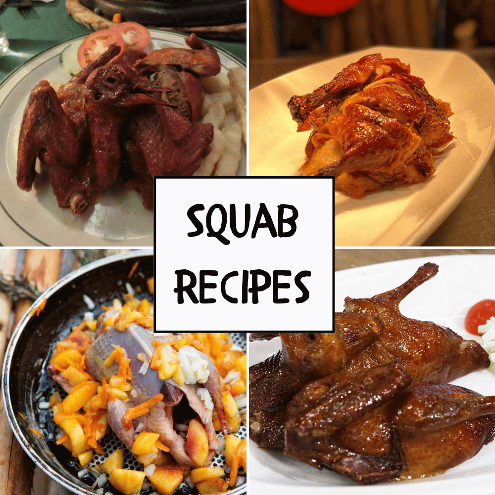 Squab Recipes