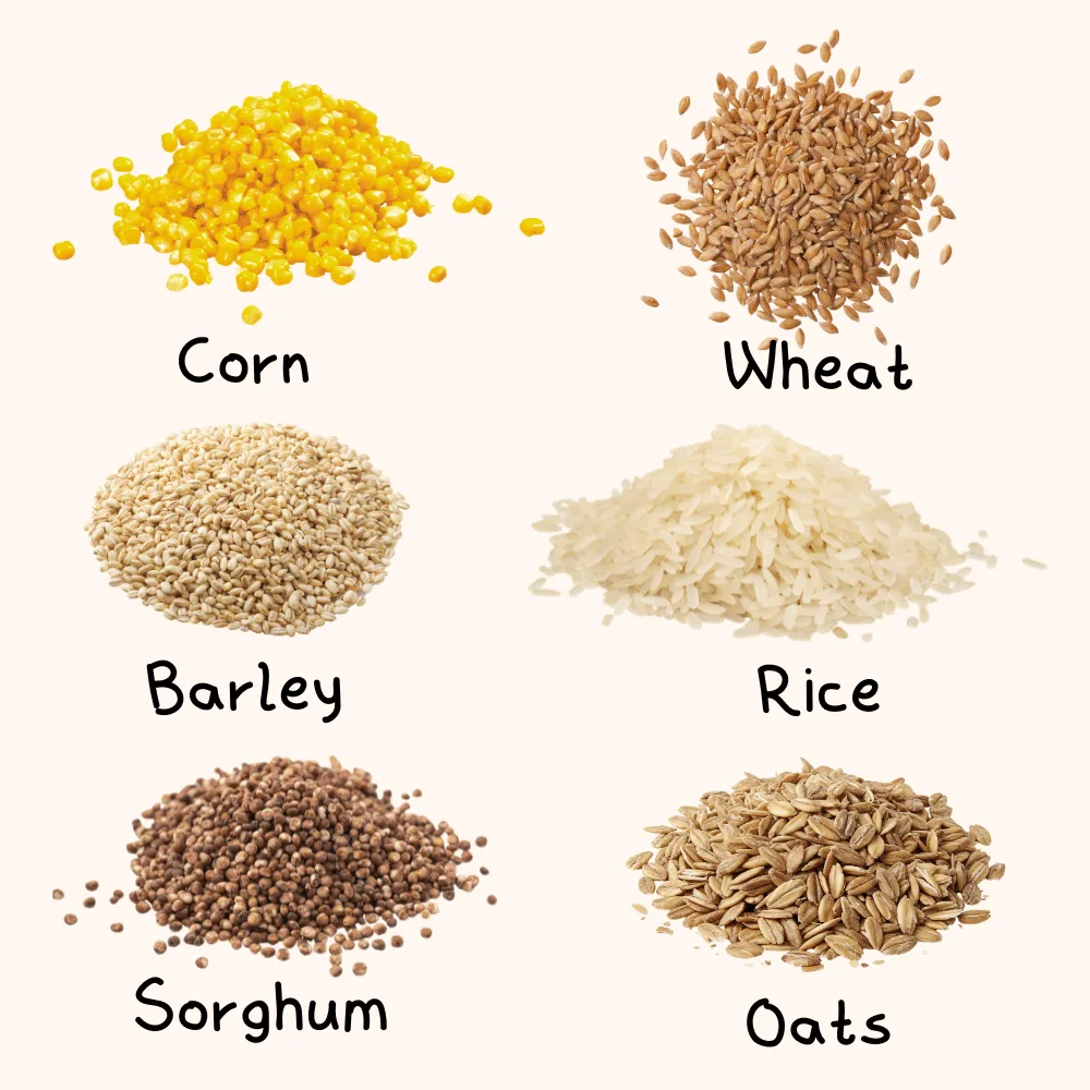 grains for pigeons
