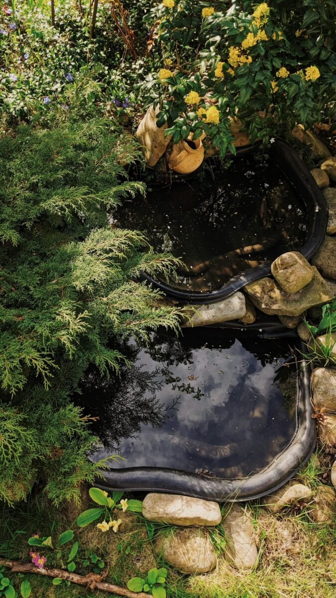 Lined Fish Pond