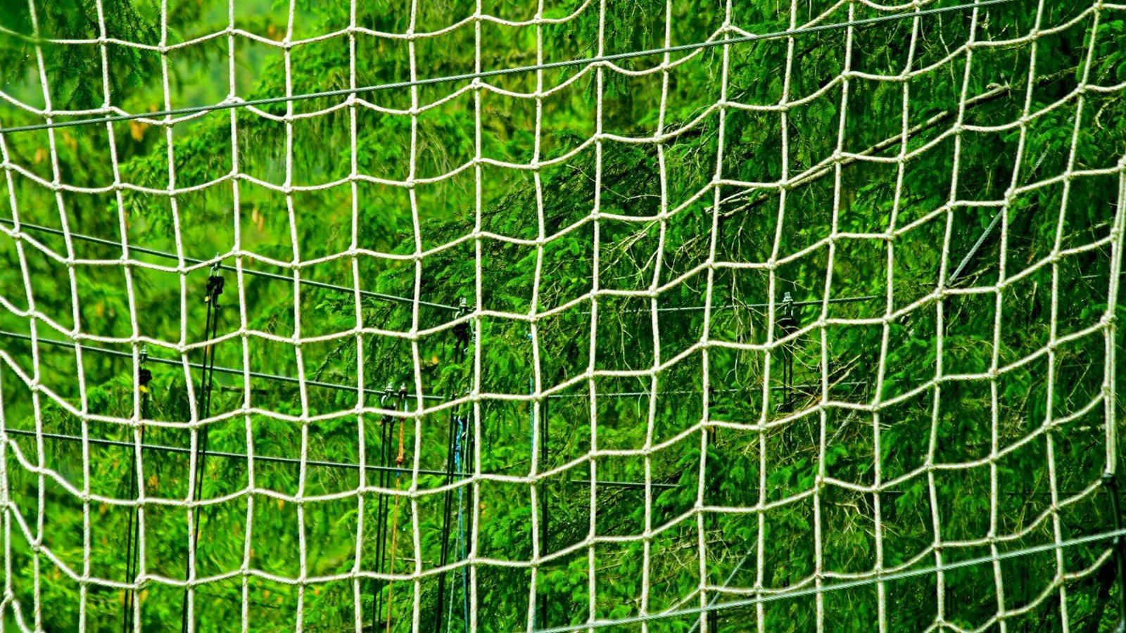 mesh netting for backyard