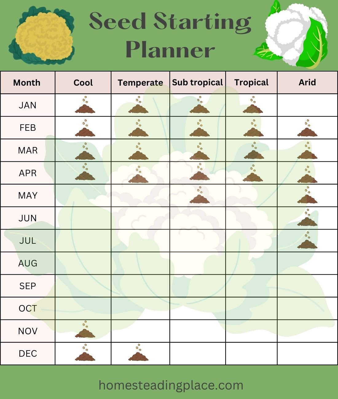 Cauliflower-seed-starting-planner