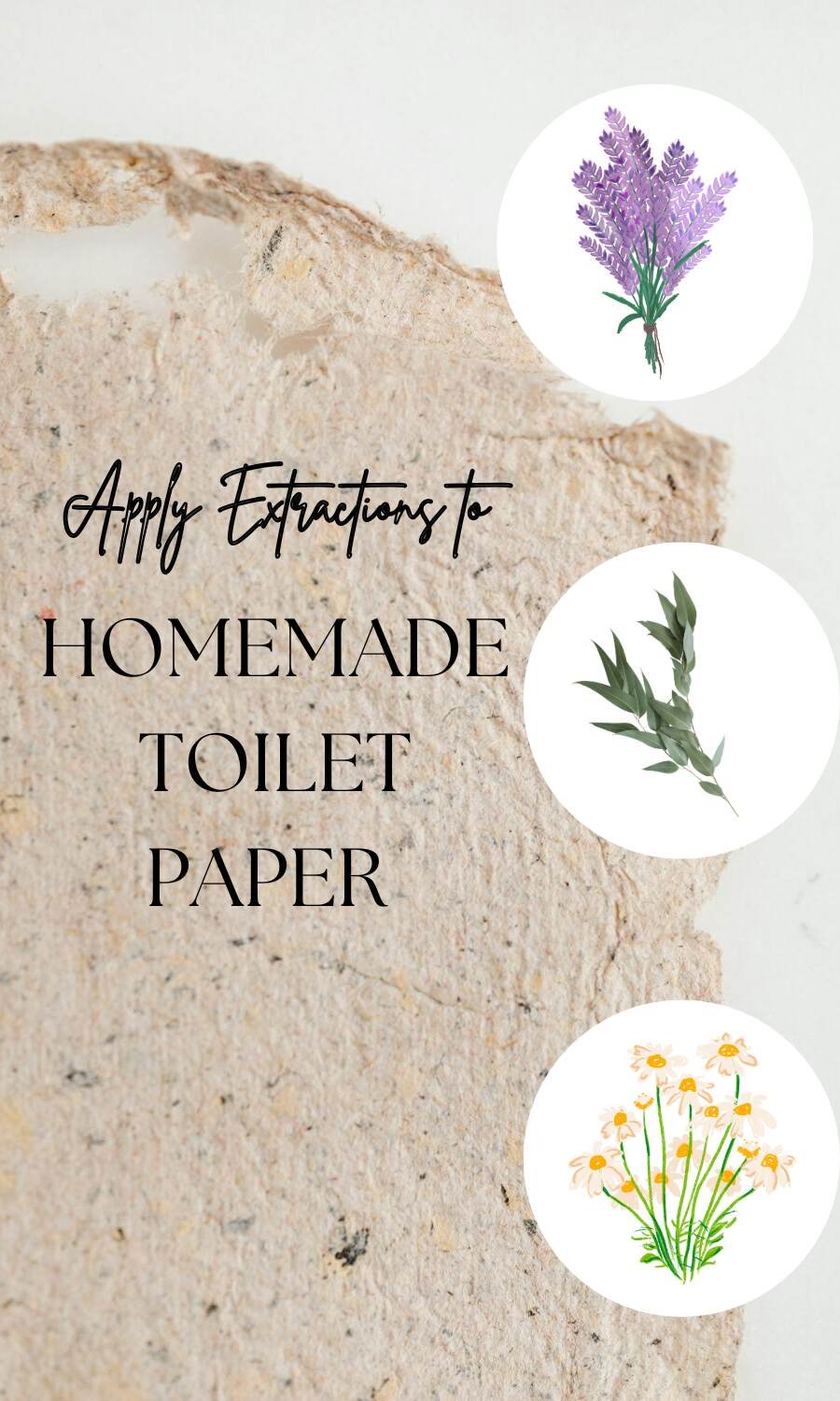 Scenting plants for alternative toilet paper