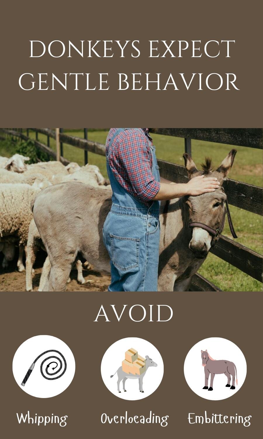 caressing farm animal's head around the herd