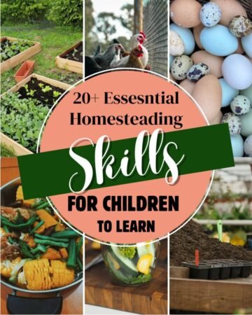 homesteading tasks for farmer