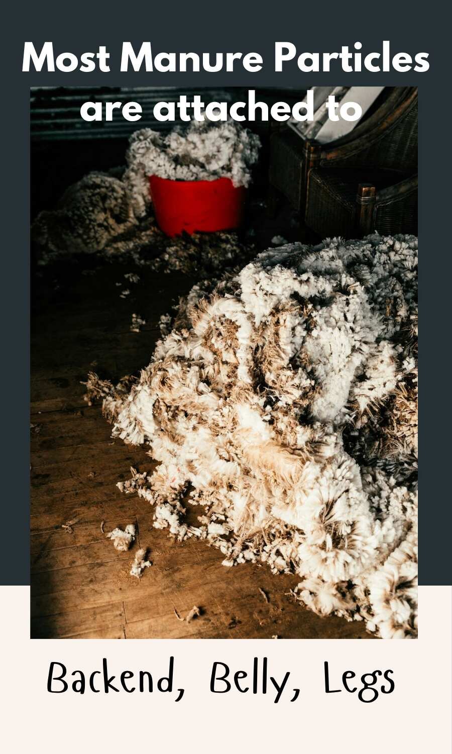 sheep wool stored in the bucket and floor