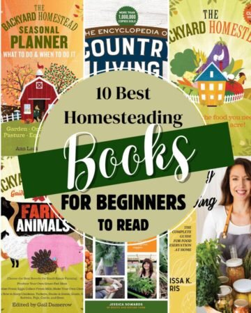 books for homesteading