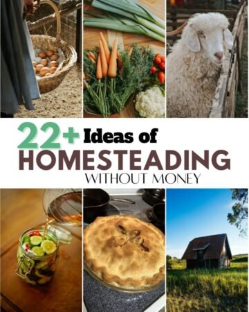 homestead tasks and activities