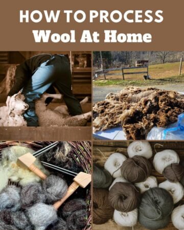 wool processing process at home