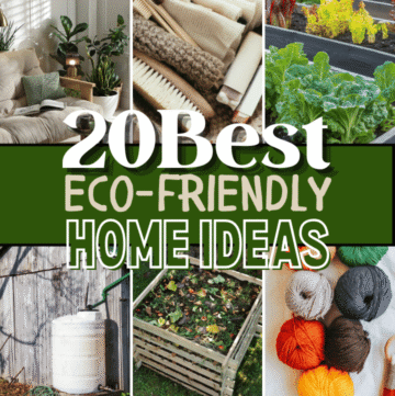 eco-friendly home ideas