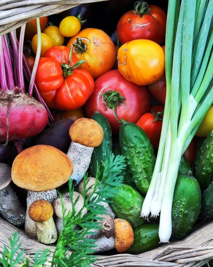 homesteading garden produce