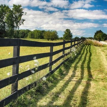 ranch fence for large pasture field