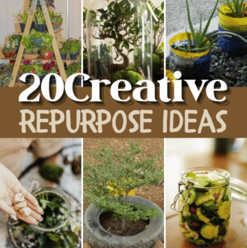 creative repurpose ideas