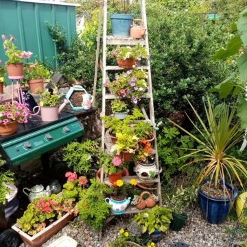 repurposed items on homestead